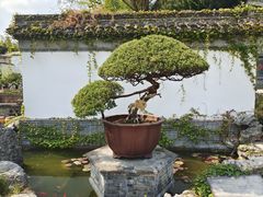 -水绘园