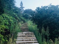-林坑古村落