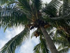 -三亚海棠湾万丽度假酒店