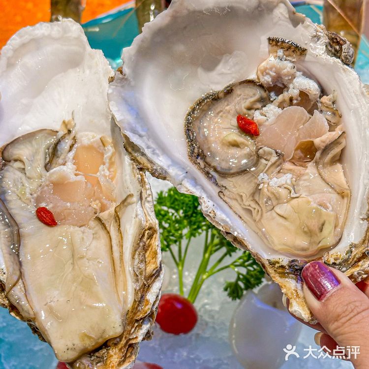 酸酸辣辣的糟粕醋锅底🔥，味道太鲜啦❗