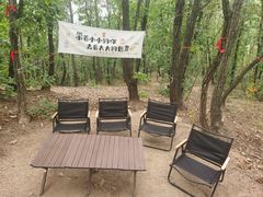 -六里坪国家森林公园
