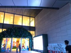 -演武大桥观景平台