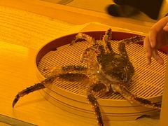 -本逸·割烹料理(湖墅店)