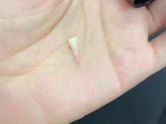 -泰康拜博口腔(凯迪大厦店)