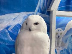 -成都浩海立方海洋公园