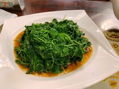 金花菜酒香-新聚丰菜馆(太监弄店)