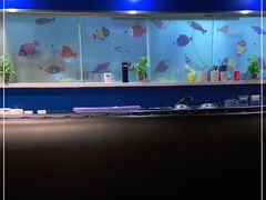 -鱼颜诱纸纸上烤鱼·蛙(龙湖天街店)