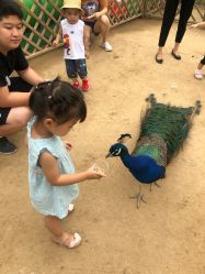 -萌宠亲子动物乐园(槐房万达店)