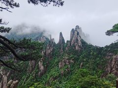 -三清山希尔顿度假酒店