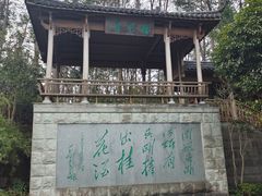 -千岛湖东南湖区