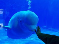 -多彩贵州城极地海洋世界