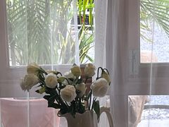 -Jo's Garden