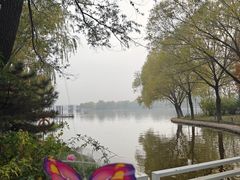 -石家庄市植物园
