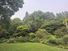 -徐家汇源景区-衡山公园