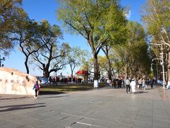 -人民防洪胜利纪念塔