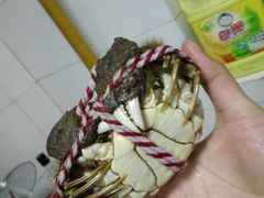 -丫丫蟹庄·苏式园林农家乐·阳澄湖大闸蟹(阳澄湖莲花岛店)