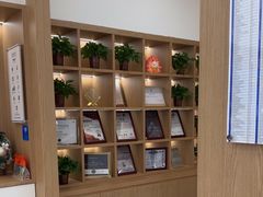 -泰康拜博口腔(松江印象城臻尔店)