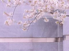 -静安雕塑公园