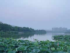 -云龙湖旅游景区