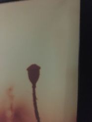 -时尚殿堂·颜SPA