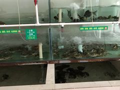 -七的湖·晚芳亭·阳澄湖农家菜·大闸蟹(莲花岛店)