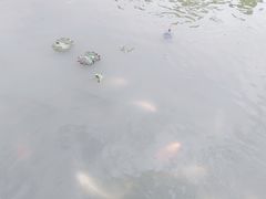 -清晏园