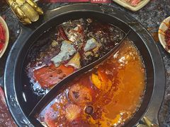 -蜀大侠火锅(建设路第五大道店)