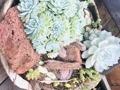 -悦哉·派对·草坪婚礼·围炉煮茶(三圣乡店)