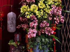 -弗劳尔花艺坊(龙涛店)