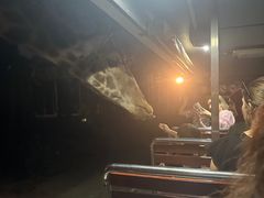 -清迈夜间动物园