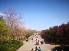 -洛阳市隋唐城遗址植物园