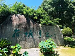 -荷塘月色湿地公园·向阳花洲