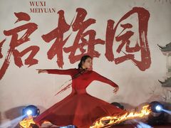 -无锡梅园公园