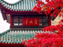 -岳麓山风景名胜区