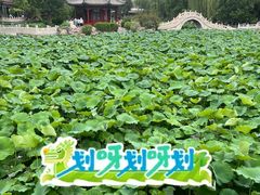 -莲池书院博物馆