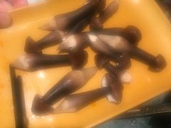 -牛New寿喜烧(金鹰世界店)