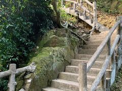 -鼎湖山风景区