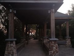-金鸡山公园