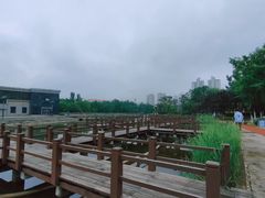 -绿岛公园(滨海新区)