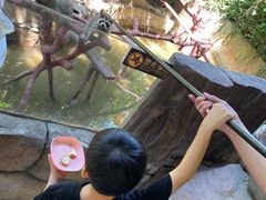 -长鹿旅游休博园