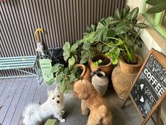 -绿房子方寸咖啡(星海名城店)