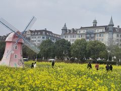 -九龙湖公园