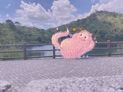 -军营村