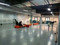 -舞蕾舞蹈(特长生校区)