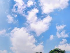 -东莞植物园