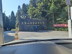 -武陵山森林公园