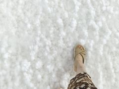 -东台吉乃尔湖