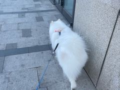 -宠物家(大兴旧宫店)