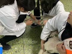 -成都民大动物医院