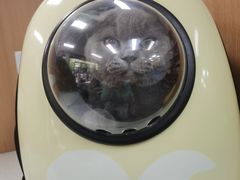 -联合动物医院(光谷诊疗中心)